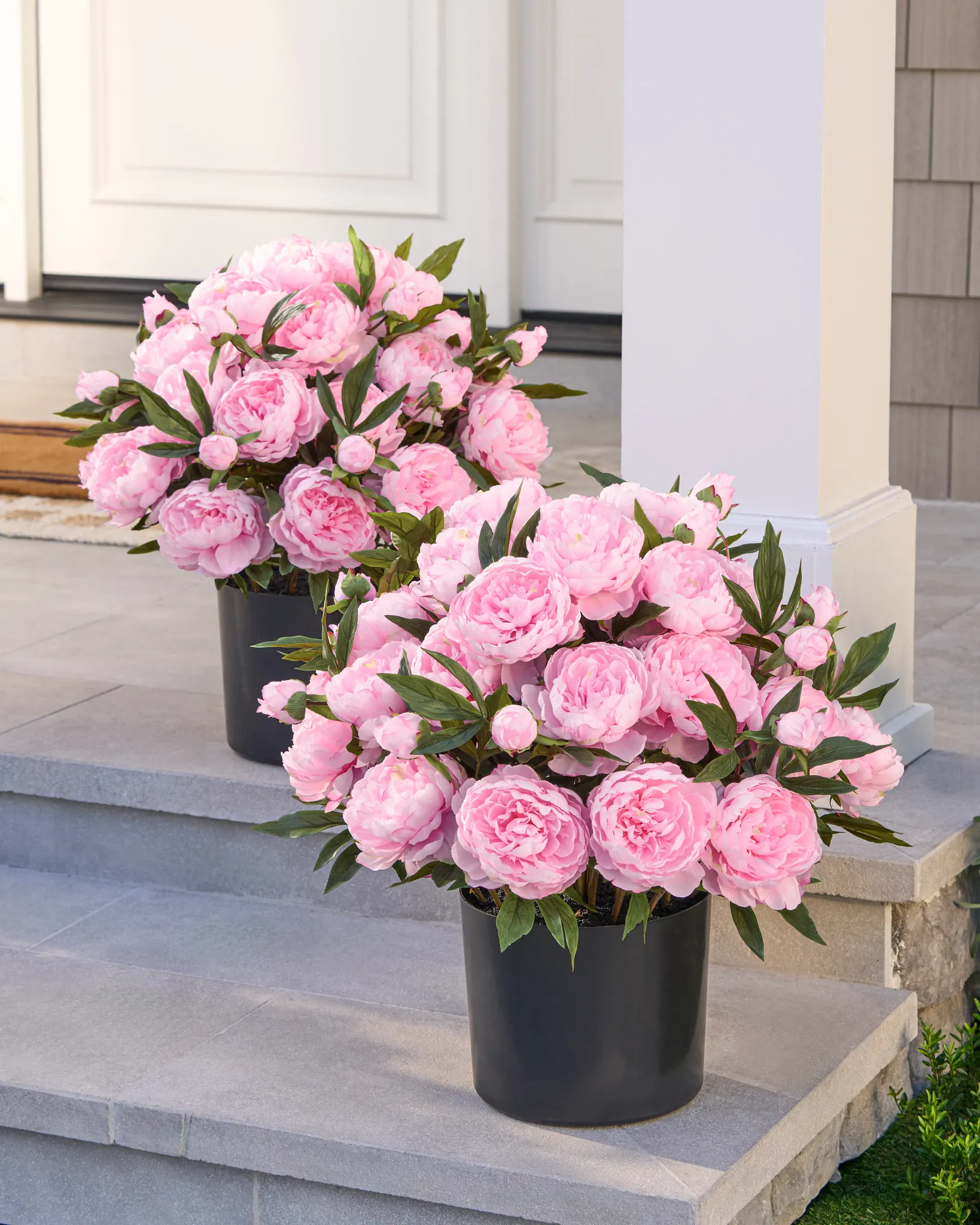 Enchimento para Vasos de Flores Rosa-Pink ao Ar Livre