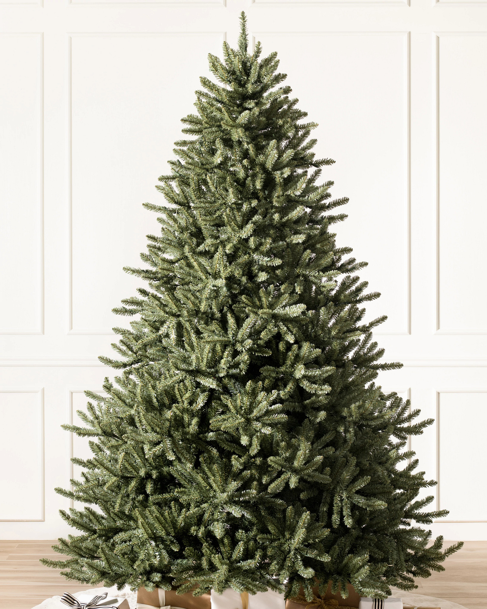 Clássico Blue Spruce
