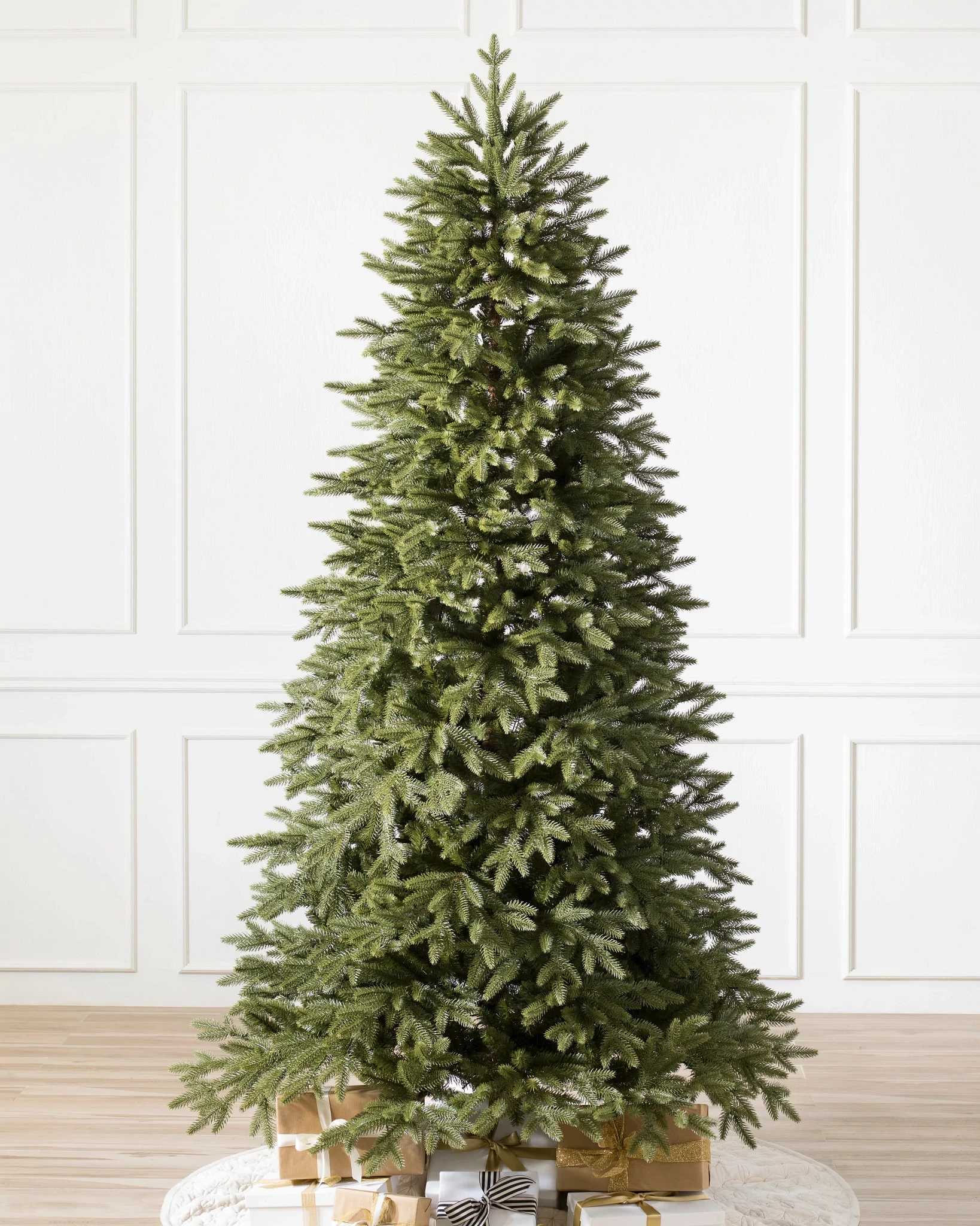 Stratford Spruce