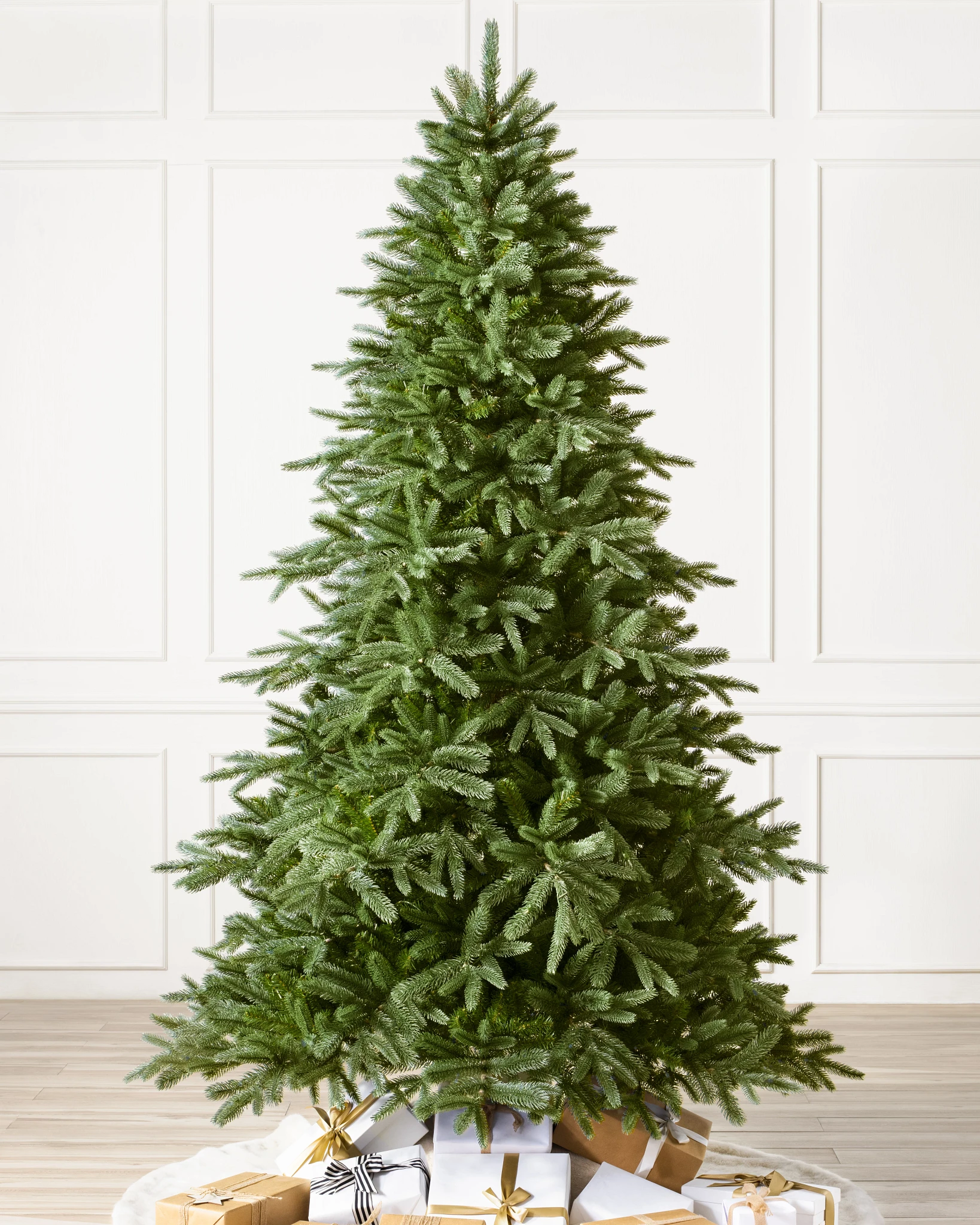 Saratoga Spruce