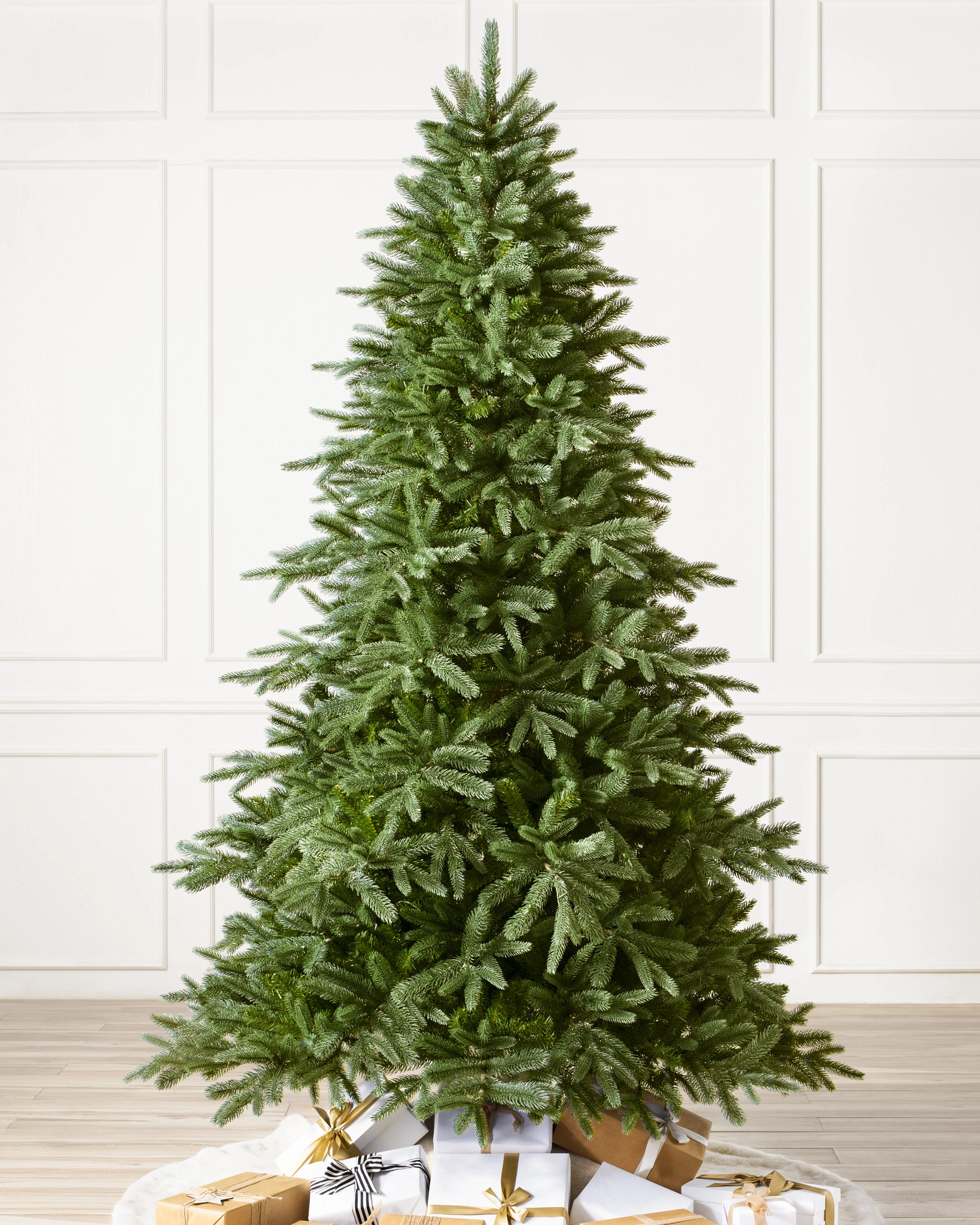 Saratoga Spruce