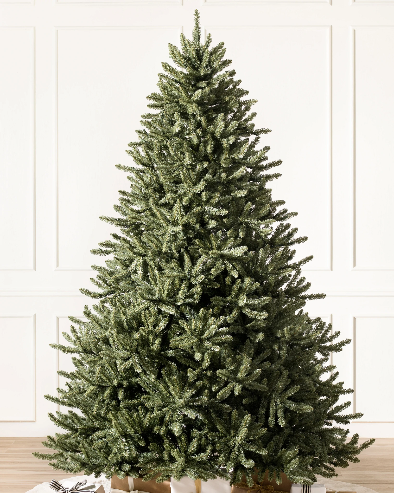 Clássico Blue Spruce